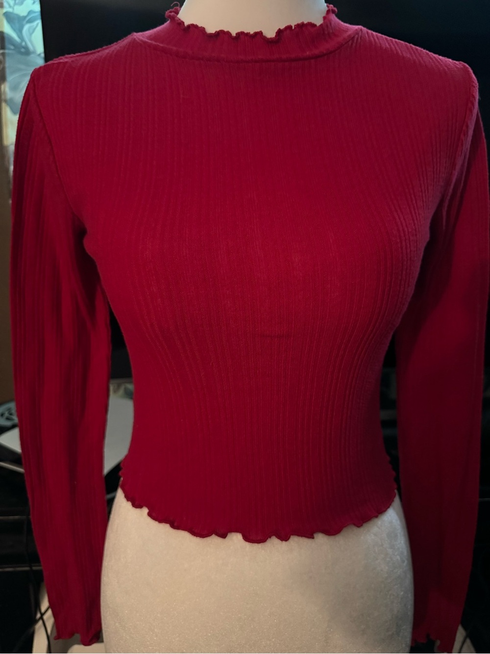 Ambiance Crimson Ribbed Long-Sleeve Mock Neck Top